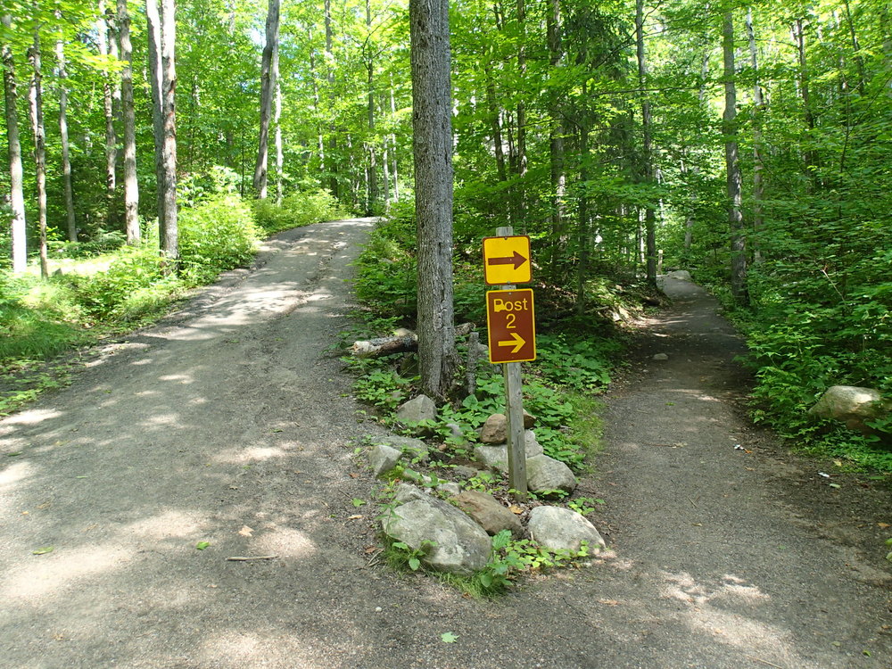 algonquin park hiking trails